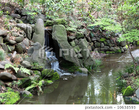 布魯克以綠色 布魯克以綠色 10638593