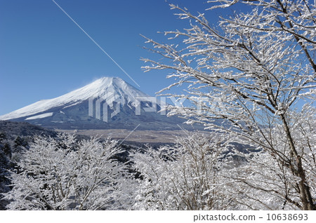 新雪的第20次通過 新雪的第20次通過 10638693
