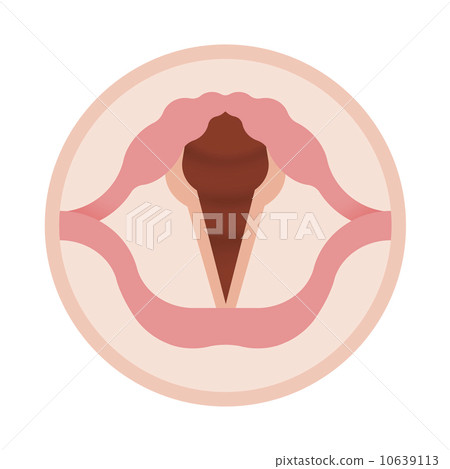 Vocal cords during breathing Vocal cords during breathing 10639113