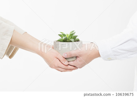 Healthy couple Healthy couple 10639675