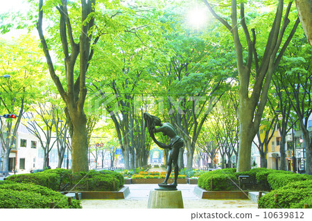 Zeki Namiki仙台市Jozenji寺 10639812