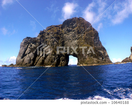 Ogasawara · tuna hole 10640188