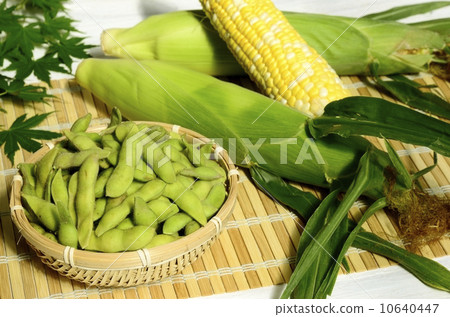 夏季蔬菜 10640447