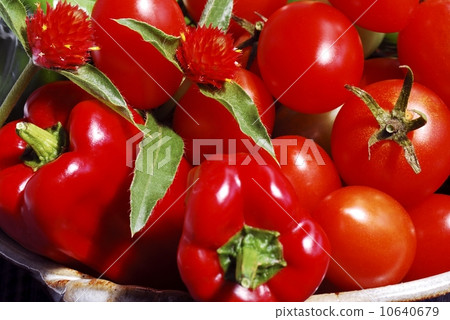 紅色的 紅色的 10640679