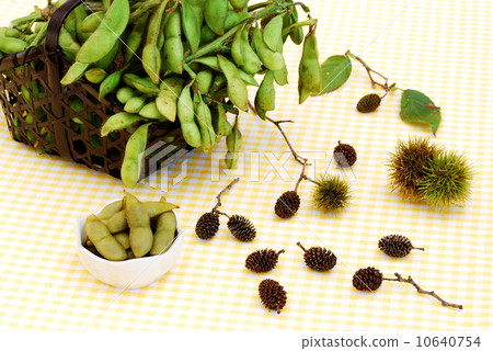 Edamame 10640754