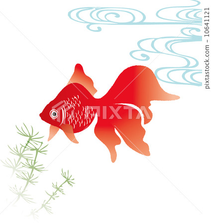 金魚 伊樂藻 水蘊草 10641121