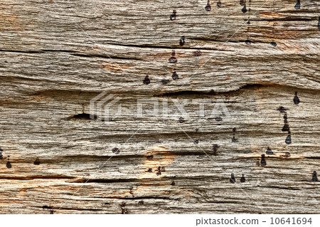 Old Wood Texture Background, 10641694