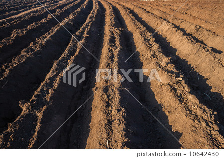 Farming Plow Rows Farming Plow Rows 10642430