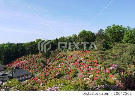鹽船觀音寺 鹽船觀音寺 10642502