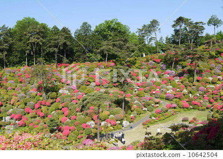 Shiofune Kannonji Temple Shiofune Kannonji Temple 10642504