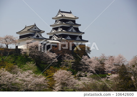 Ozu castle 10642600