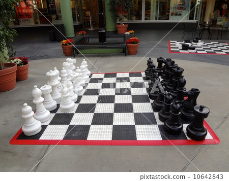 chess 10642843