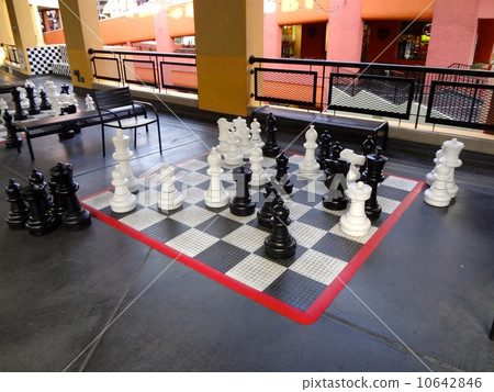 chess 10642846