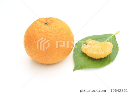 Sweet summer 10642861