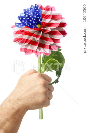 Usa flag Usa flag 10643500