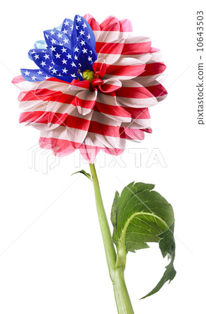USA flag USA flag 10643503
