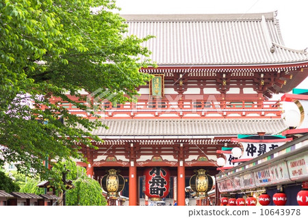 新鮮的綠色淺草寺 新鮮的綠色淺草寺 10643978