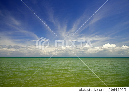 哥打京那巴魯海馬來西亞 10644025