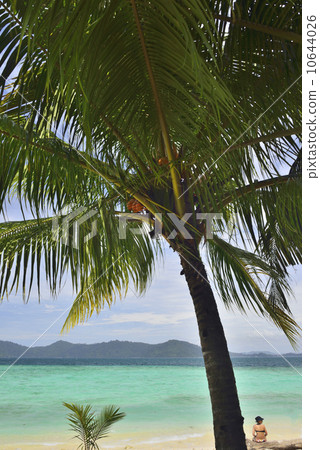 哥打京那巴魯的藍色海洋和棕櫚樹和婦女馬來西亞 哥打京那巴魯的藍色海洋和棕櫚樹和婦女馬來西亞 10644026