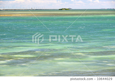藍色海和七英里橋樑佛羅里達 10644029