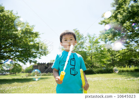 Park family 10645023