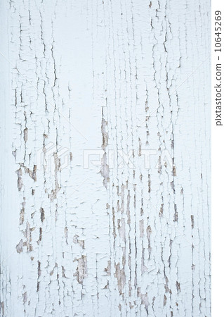 Texture of wood board 10645269