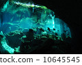Cenote 10645545