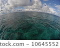 Coral and sky 10645552