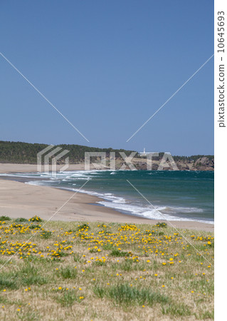 Aomori Prefecture Hachinohe City Osuga Coast "Japan's Nagisa / Hundred Selections" 10645693