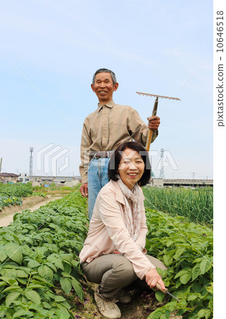 微笑對領域的夫婦 微笑對領域的夫婦 10646518