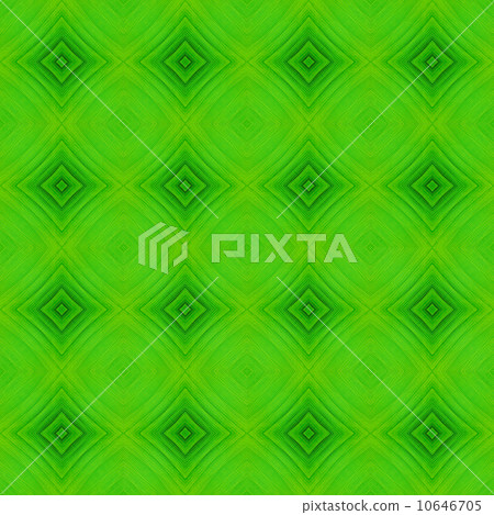 leaf abstract 10646705