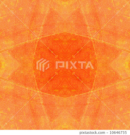 leaf abstract 10646735