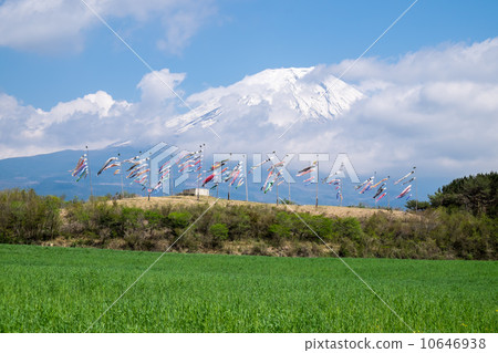 Carp streamer in Asagukogen 10646938