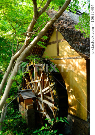 Fukaji Temple Swimming Hall 10653494