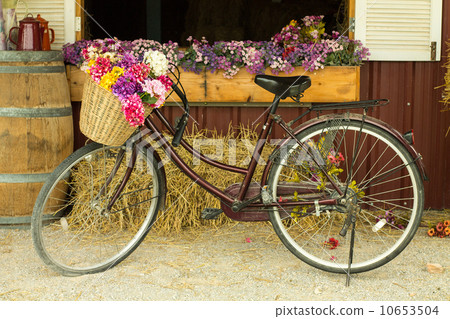 bicycle 10653504