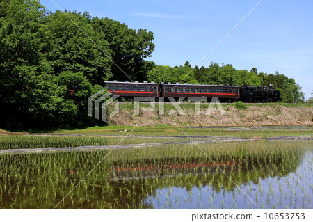 Mooka Railway "Rural scenery after rice planting and the SL Mooka" 10653753