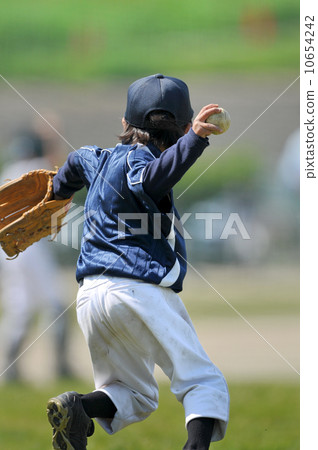 Juvenile baseball 10654242