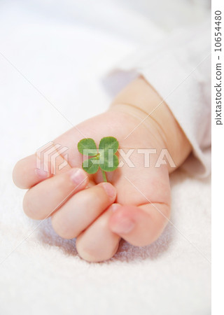 四片葉子三葉草在手中 10654480