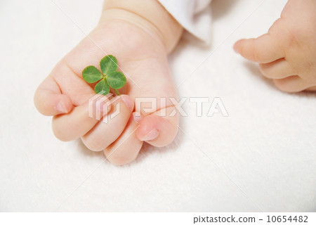 四片葉子三葉草在手中 10654482
