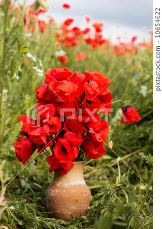 Nice bouquet of red poppy flowers Nice bouquet of red poppy flowers 10654622