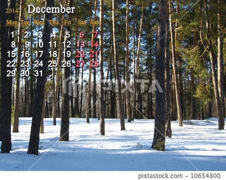 calendar for the December of 2014 with picture of winter forest calendar for the December of 2014 with picture of winter forest 10654800