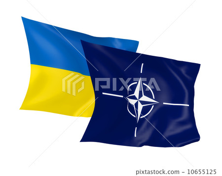 waving flags 10655125