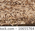 Feather 10655764