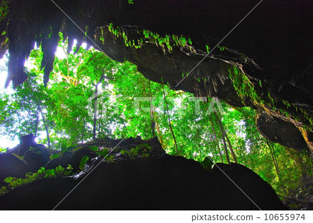 Clearwater Cave (Gunung Mul National Park / East Malaysia / Borneo Island) 10655974