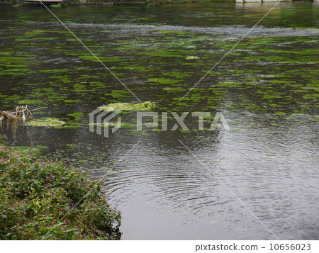 Kakita River spring spring group 10656023