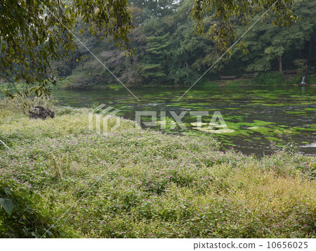 Kakita River spring spring group Kakita River spring spring group 10656025