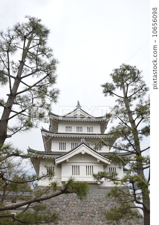 Oshiki Saitama ken 10656098