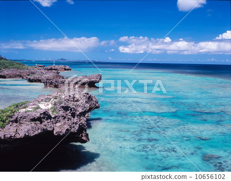 Okinawa coast 10656102