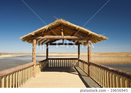 Gazebo on the lake 10656945