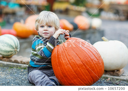 Little boy sitting on pumpkin patch Little boy sitting on pumpkin patch 10657200